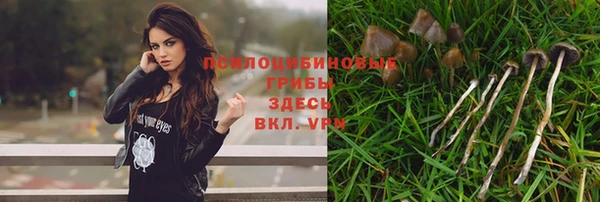 каннабис Балахна