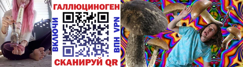 кракен маркетплейс  Новоаннинский  Галлюциногенные грибы Magic Shrooms 